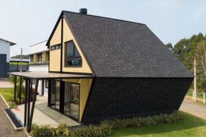 estética-e-apelo-visual-da-shingle